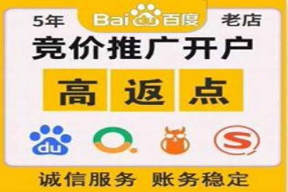 某电商平台的SEM竞价推广实践